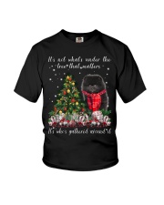 Matters - BLACK Pomeranian Youth T-Shirt tile