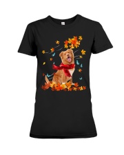 Flying Scarf - Nova Scotia Duck Tolling Retriever Premium Fit Ladies Tee tile