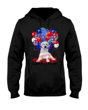 4th July American Balloons - Labrador Hooded Sweatshirt tile