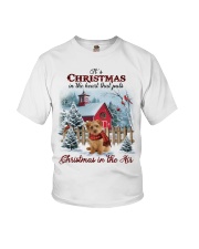 Christmas Air - Norfolk Terrier Youth T-Shirt tile