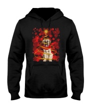 Lighting - Anatolian Shepherd Hooded Sweatshirt front