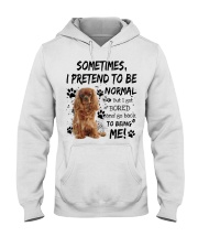 Sometimes - Cavalier King Charles Spaniel 4 Hooded Sweatshirt tile