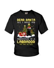 Dear Santa - BLACK Labrador Pup Youth T-Shirt tile