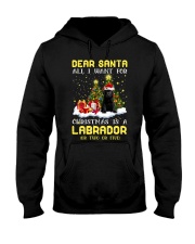 Dear Santa - BLACK Labrador Pup Hooded Sweatshirt front