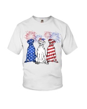 American Firework - Great Dane Youth T-Shirt tile