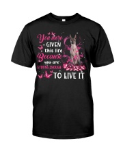 This Life - Xoloitzcuintli Premium Fit Mens Tee tile