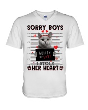 Stole - Cat 4 V-Neck T-Shirt tile