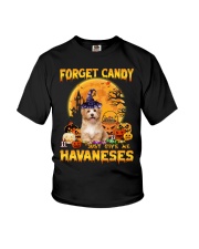 Give Me - Havanese 3 Youth T-Shirt tile