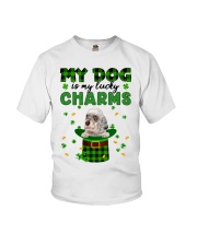 Lucky Charm - English Setter Youth T-Shirt tile