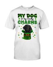 Lucky Charm - Grosser Münsterländer Classic T-Shirt front