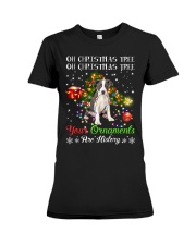 Ornament - Pitbull 2 Premium Fit Ladies Tee tile