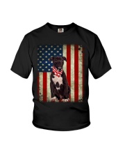 American Staffordshire Terrier - American Flag Youth T-Shirt tile
