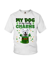 Lucky Charm - Dogo Argentino Youth T-Shirt tile