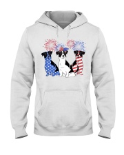 American Firework - Jack Russell Terrier Hooded Sweatshirt tile