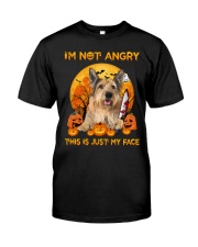 Angry - Berger Picard Classic T-Shirt front