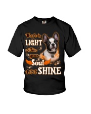 Shine - French Bulldog 2 Youth T-Shirt tile