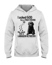 I asked God - Labrador retriever Hooded Sweatshirt tile