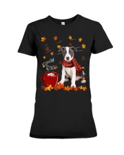 Hot Chocolate - Pitbull 2 Premium Fit Ladies Tee tile