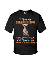 Kinda Stole - Chinese Crested Dog 2 Youth T-Shirt tile