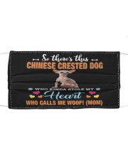 Kinda Stole - Chinese Crested Dog 2 Mask tile
