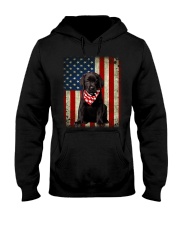 Labrador Black - American Flag Hooded Sweatshirt tile