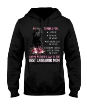 Talking Me - BLACK Labrador Pup Hooded Sweatshirt tile