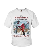 Christmas Air - Australian Shepherd 2 Youth T-Shirt tile