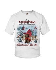 Christmas Air - Sussex Spaniel Youth T-Shirt tile