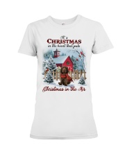 Christmas Air - Sussex Spaniel Premium Fit Ladies Tee tile