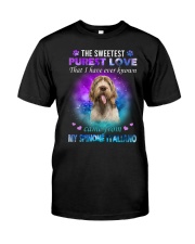 Came From - Spinone Italiano Classic T-Shirt front