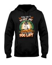 Crazy Lady - Blue Merle Collie Hooded Sweatshirt tile