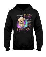 Happiest - Shorkie Hooded Sweatshirt tile
