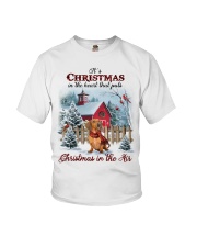 Christmas Air - Red Dachshund Youth T-Shirt tile