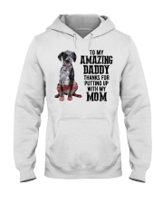 Amazing Daddy - Catahoula Leopard Hooded Sweatshirt tile