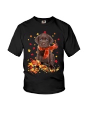 Autumn Leaves Scraf - CHOCOLATE labs Youth T-Shirt tile