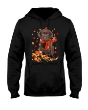 Autumn Leaves Scraf - CHOCOLATE labs Hooded Sweatshirt tile