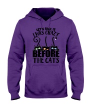 Let's face it I was crazy before the cats Hooded Sweatshirt tile
