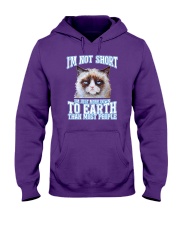 I am not short - grumpy cat Hooded Sweatshirt tile