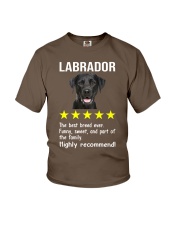 Labrador 5 stars Youth T-Shirt tile
