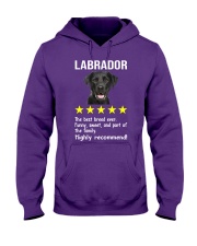 Labrador 5 stars Hooded Sweatshirt tile
