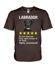 Labrador 5 stars V-Neck T-Shirt tile