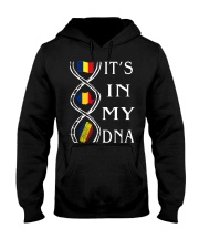Romania Hooded Sweatshirt front