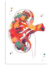 Kidney section 24x36 Poster front