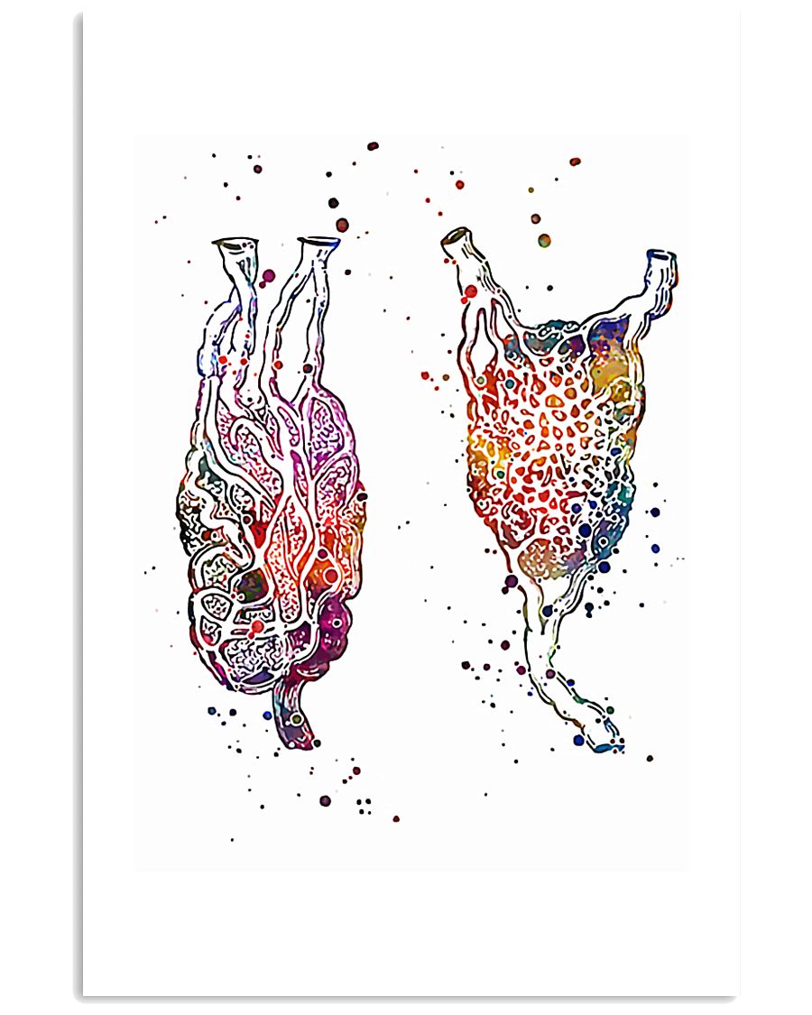 Anatomy 24x36 Poster