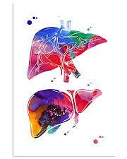 Anatomical Liver 24x36 Poster front