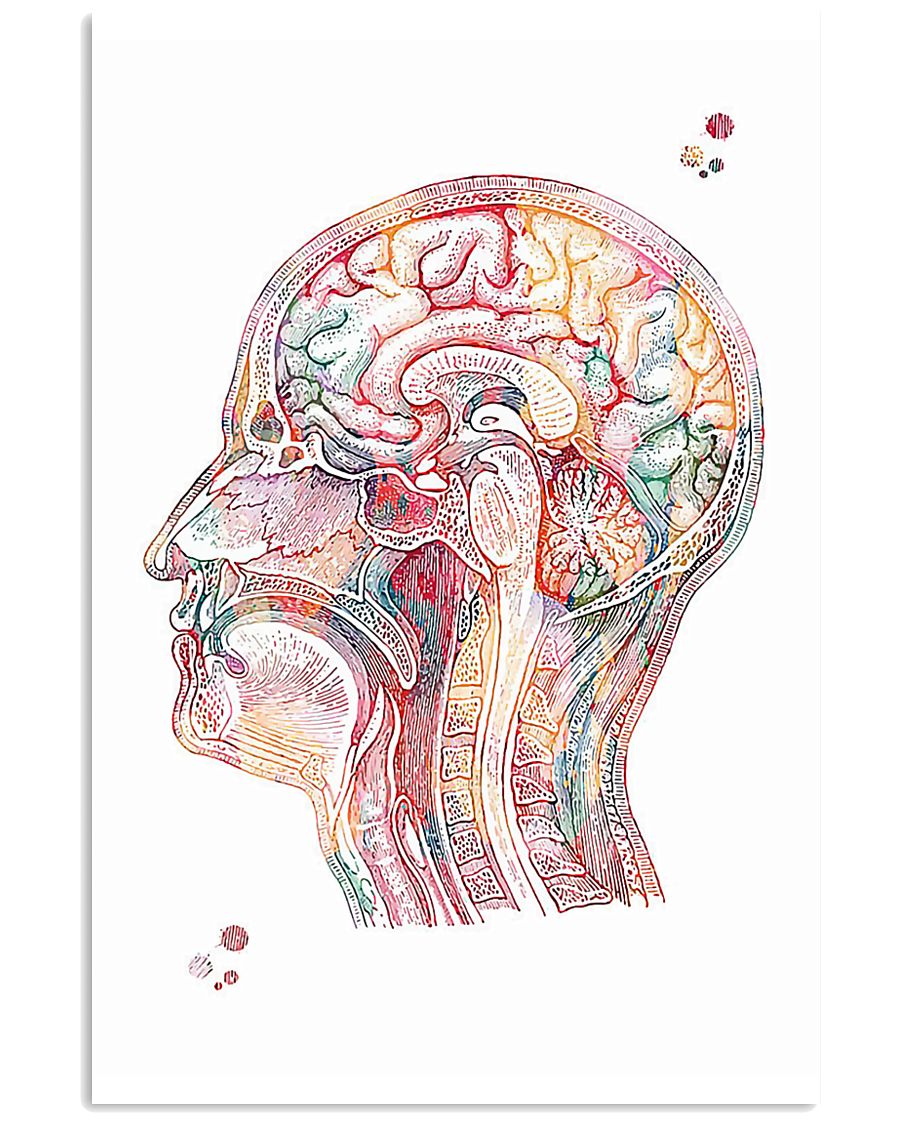 Anatomy 24x36 Poster