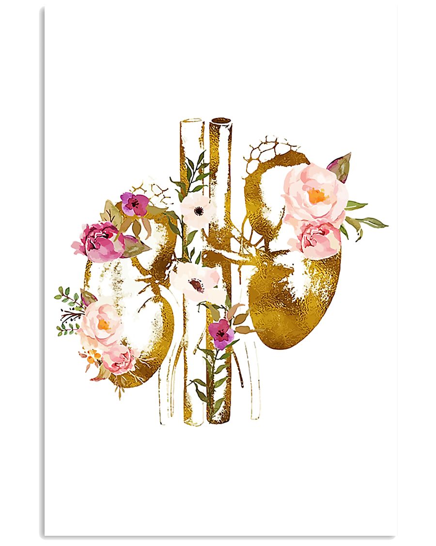 Kidney Anatomy floral 24x36 Poster