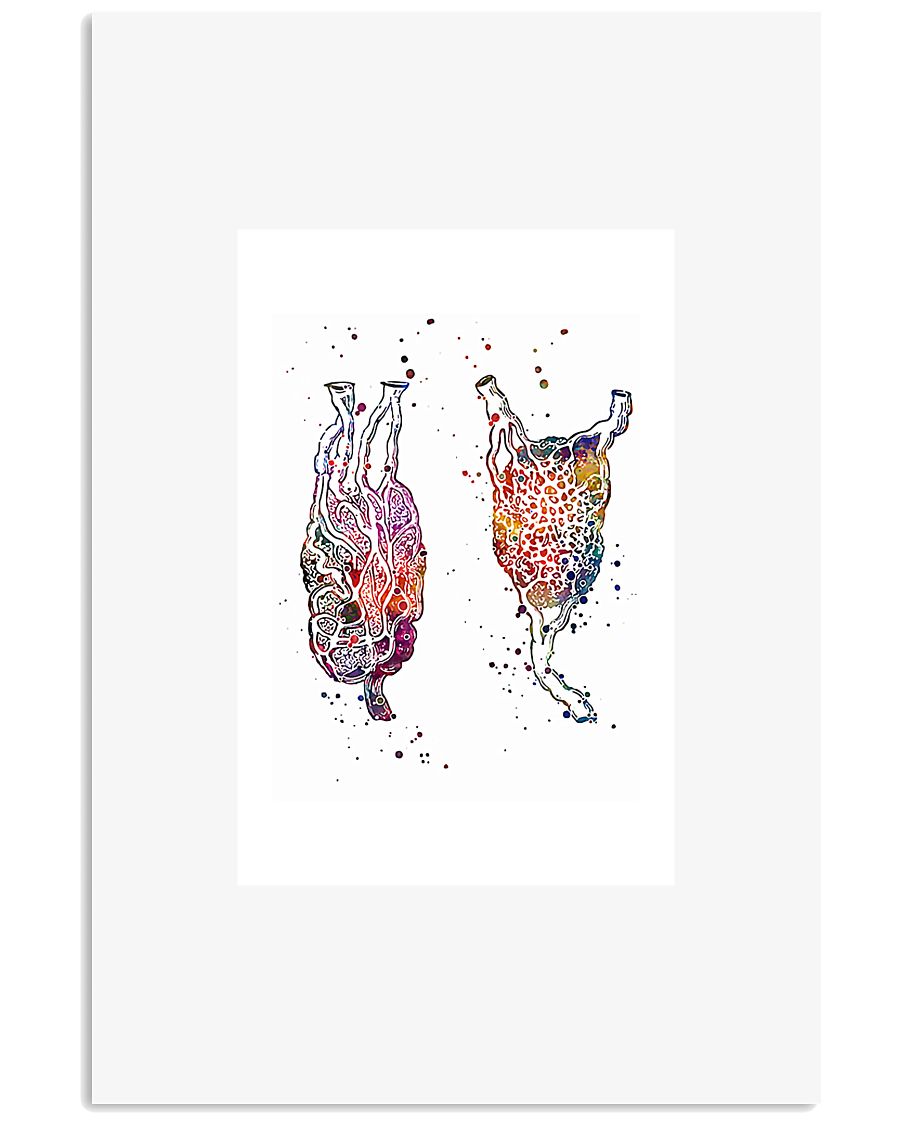 Anatomy 1 24x36 Poster