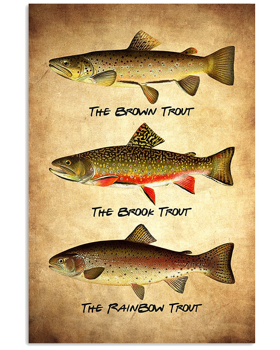 Trout Poster - Fish Print 11x17 Poster