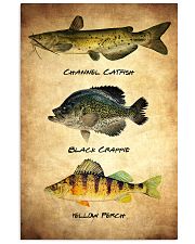 Fish Poster - Discounted Set of 3 11x17 Poster front